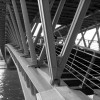 Prévalence de l’alcool et des autres drogues chez les conducteurs victimes d’accidents mortels. Janvier 2013 pont