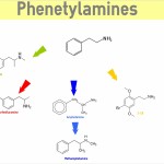 phenetylamines2
